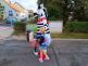 Zebra na kladensku (10).jpg