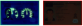 srovnání_UV světlo1.png
