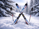 1_6C23D583-9B61-49FB-8C8E-D3C07B8012E2.png