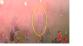 3 8F.jpg