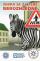 zebra obrázek.jpg