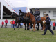 Den bezpečnosti s Policií ČR 