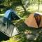 stany.jpg