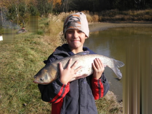 Malý pilot