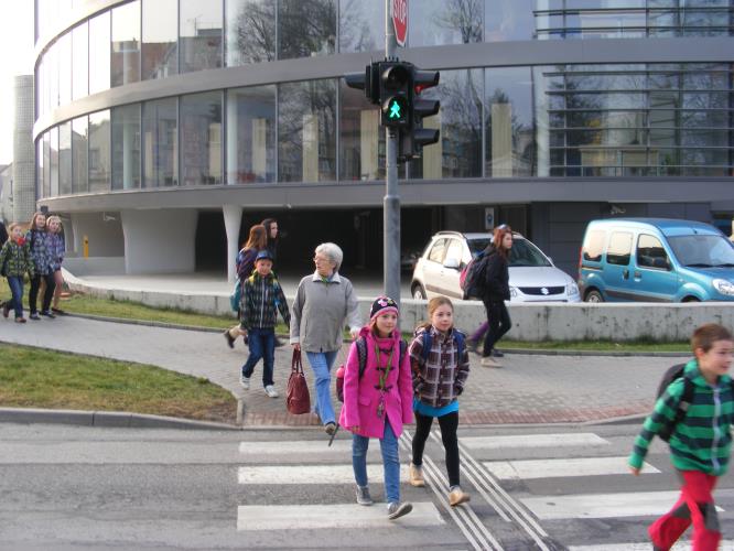  Zebra se za tebe nerozhlédne.JPG
