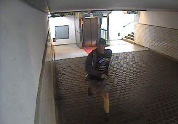 01.jpg
