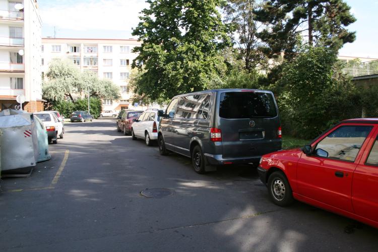 01ORTU786.jpg
