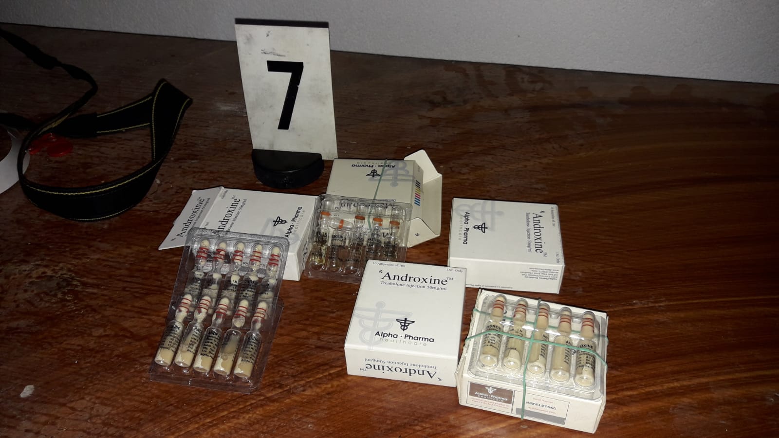 023 Domovní prohlídka SR.jpg