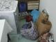 05 - sporák