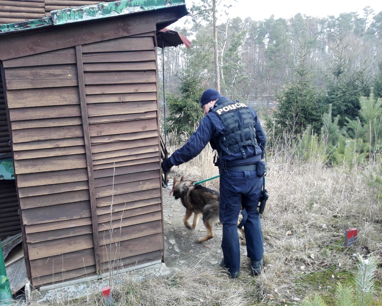 1 .jpg
