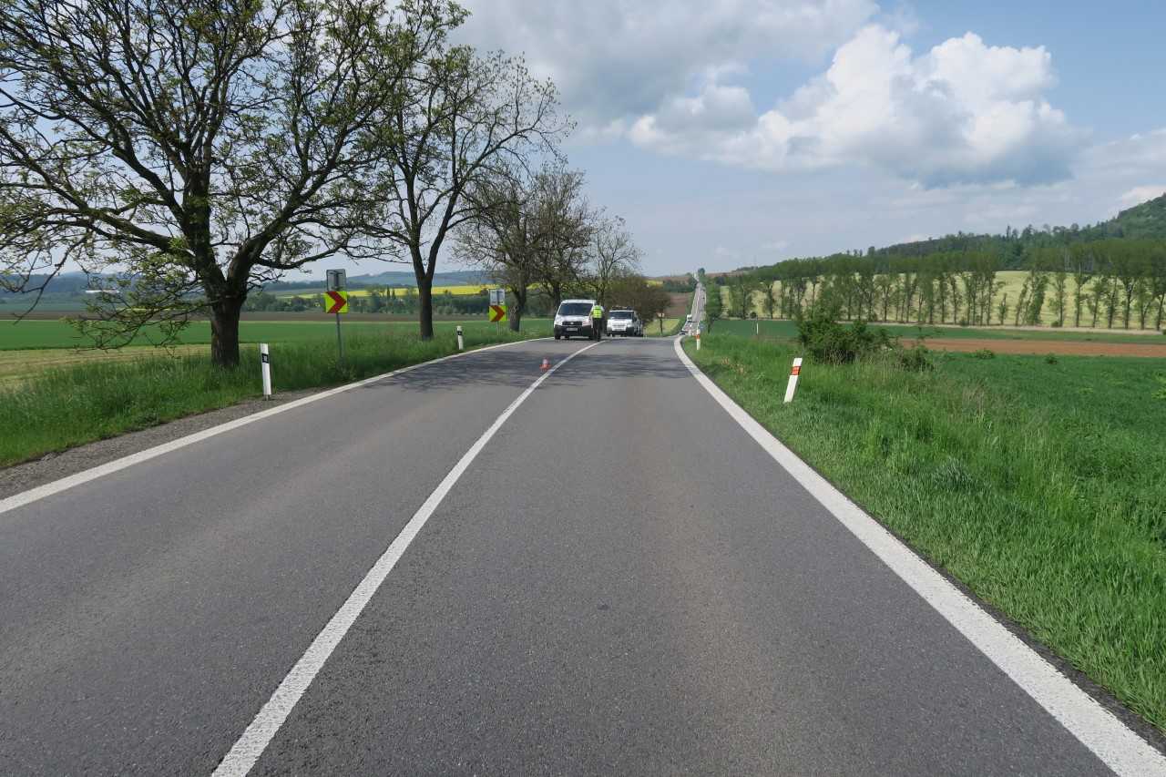 1 DN 4.jpg