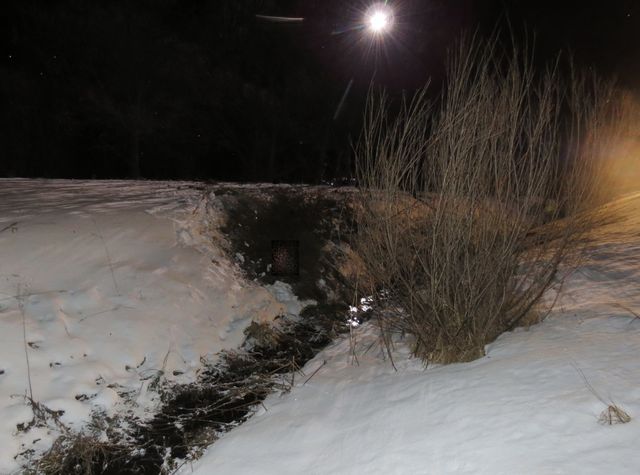 1 DN Hořice 15.1.2019 Škoda Kodiak 1.JPG