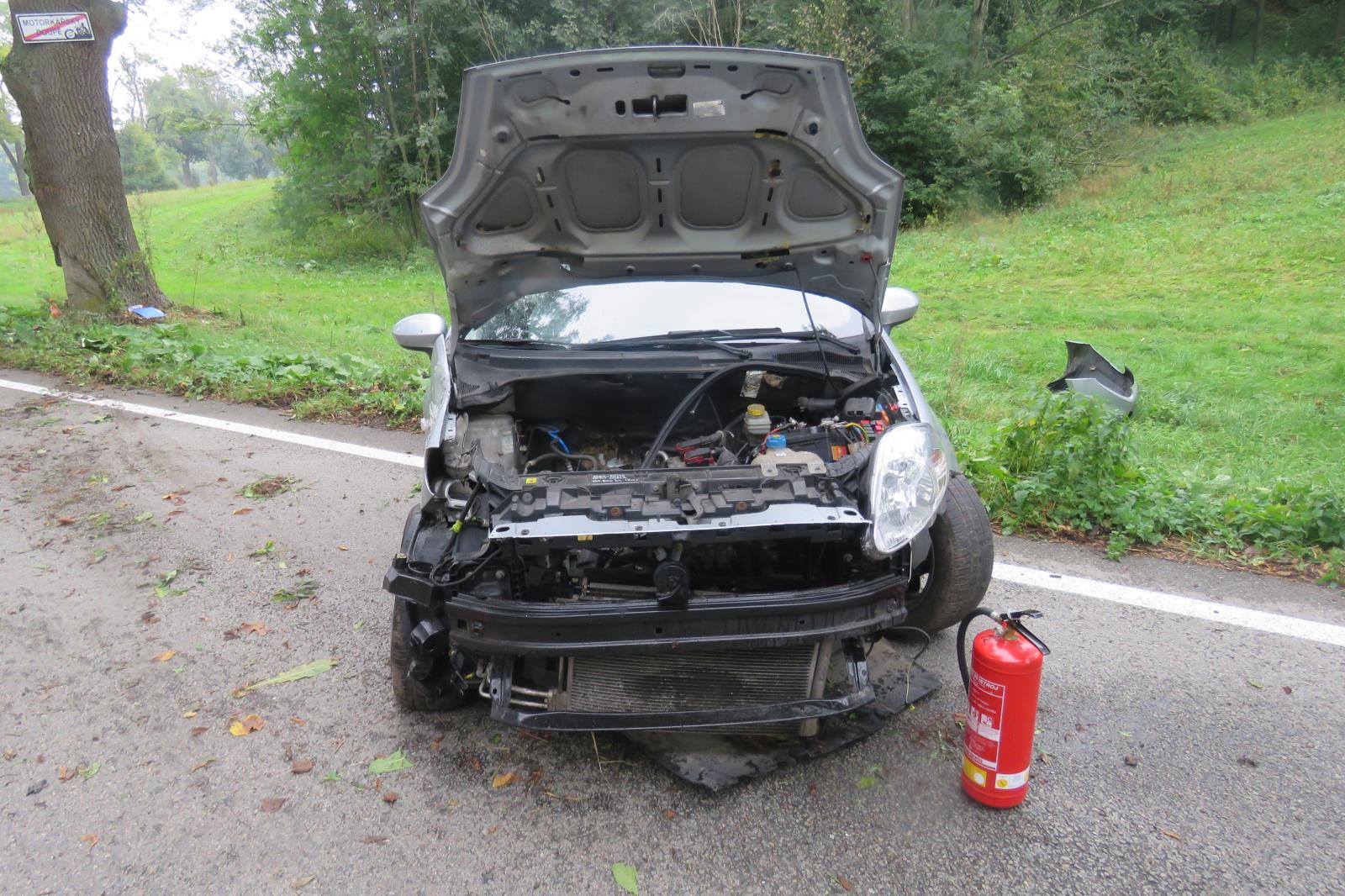 1 DN I.JPG