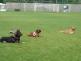 1 DSC00841