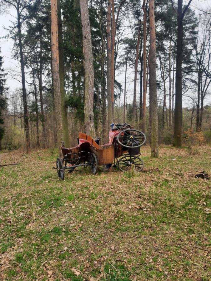 1 Kočár 1.jpg