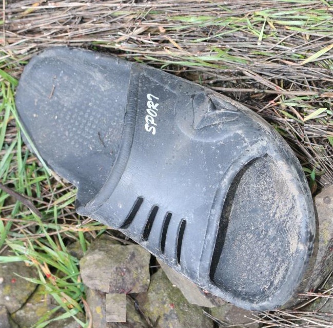 1 bota.jpg