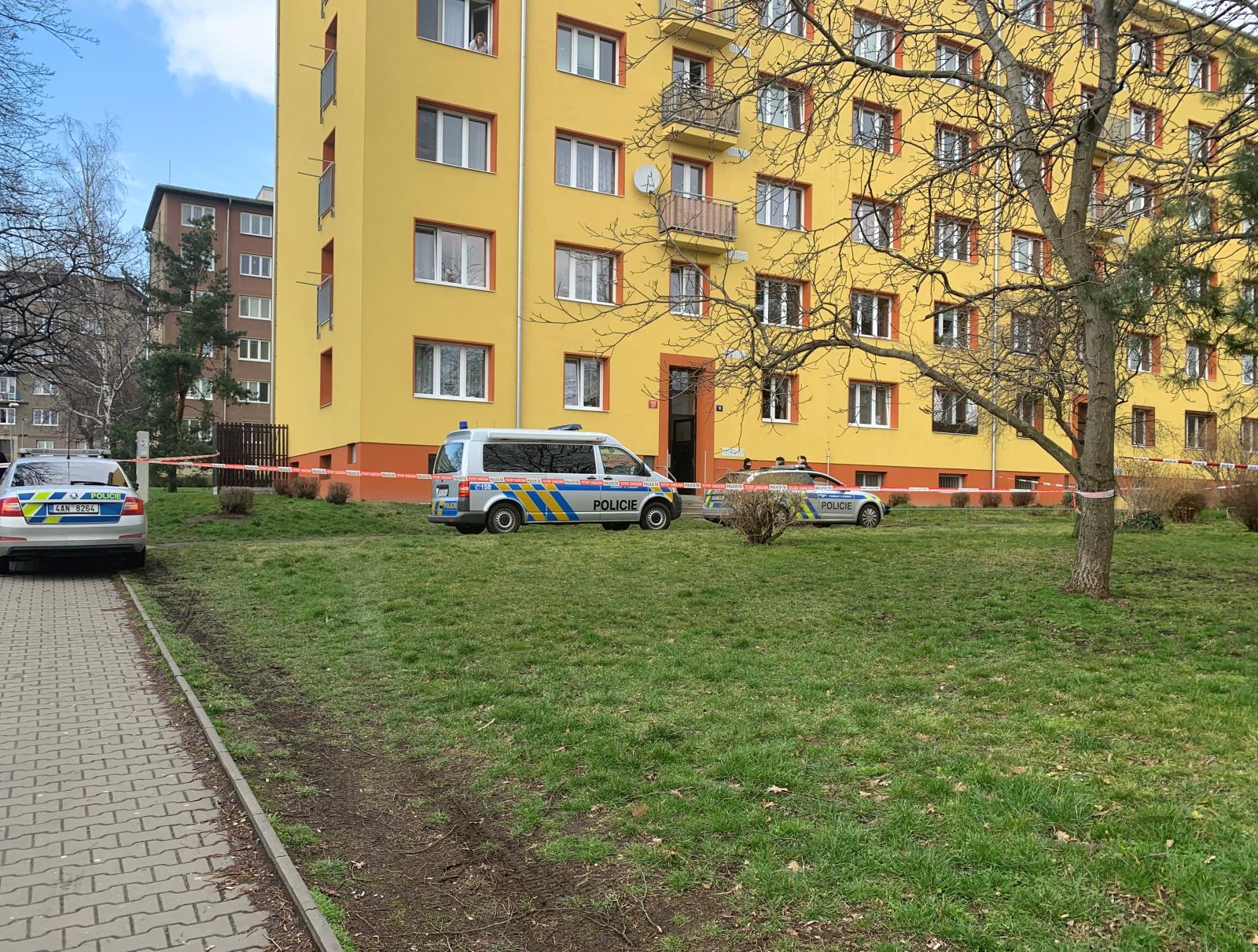 1 foto 1.jpeg