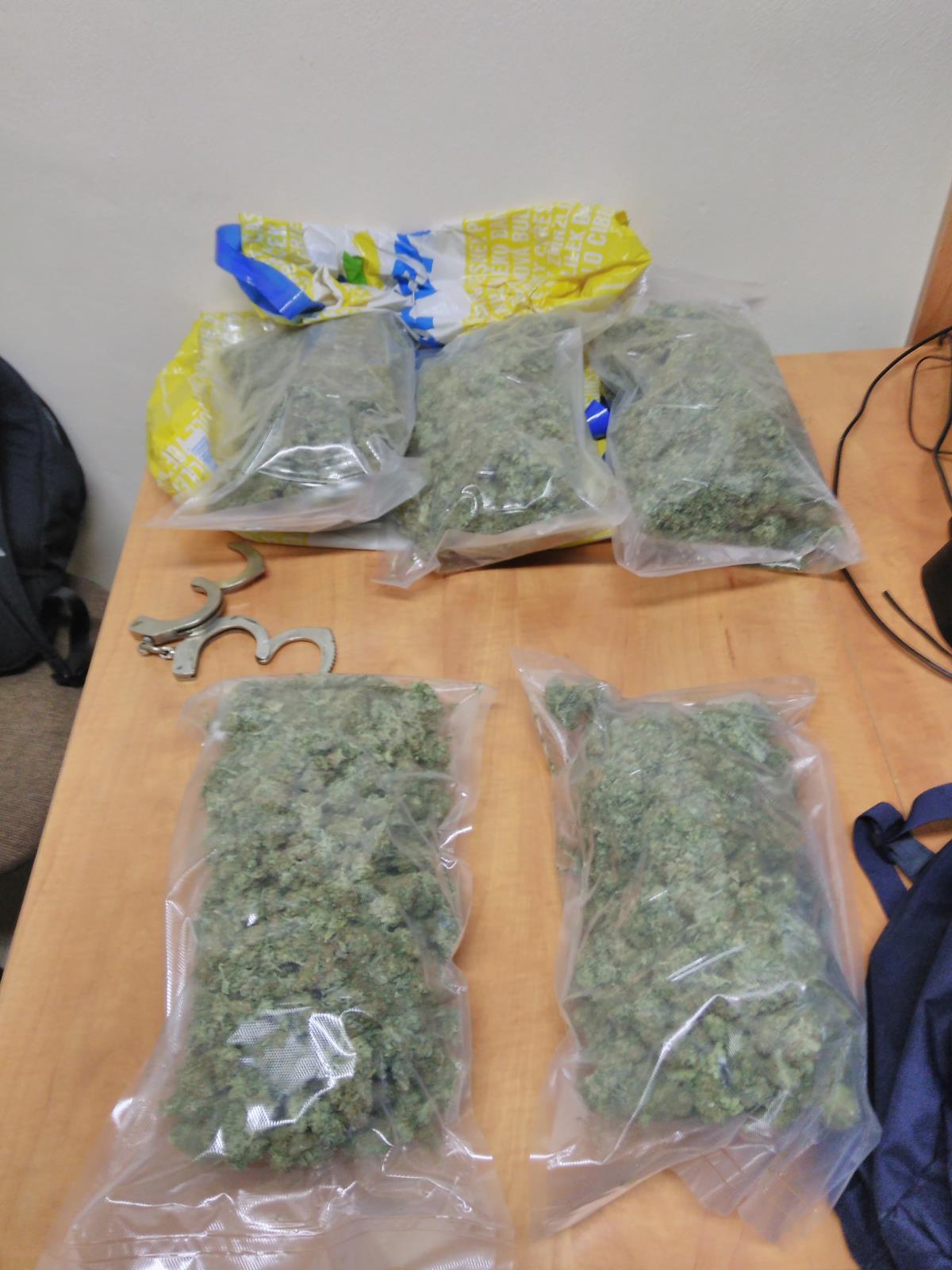 1 zajištěná marihuana (1).jpg