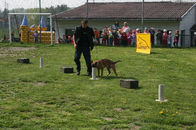 1. čarodějky-psovodi