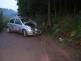 1.7.2009 - u Záchlumí, střet Nissan x strom