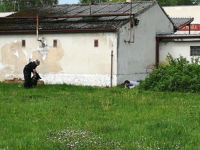 10 Prevence trochu jinak OOP Kaplice 2018 -10.jpg