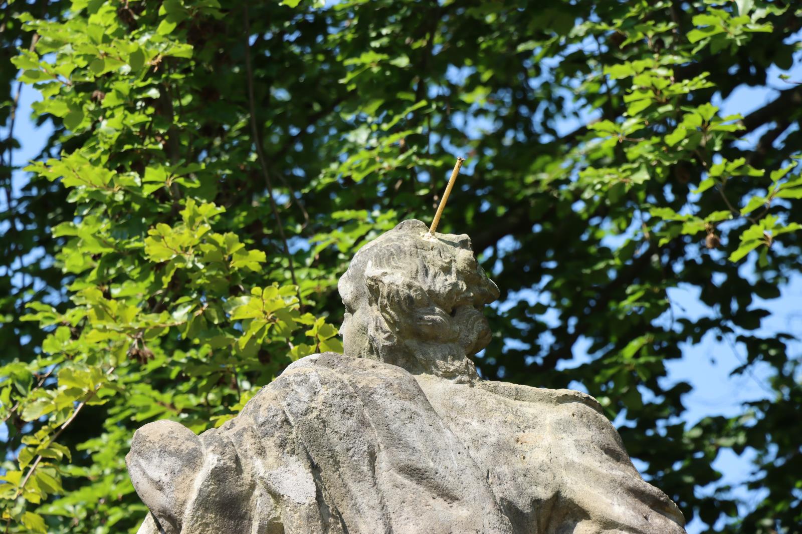 11