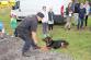 12 IMG_8954