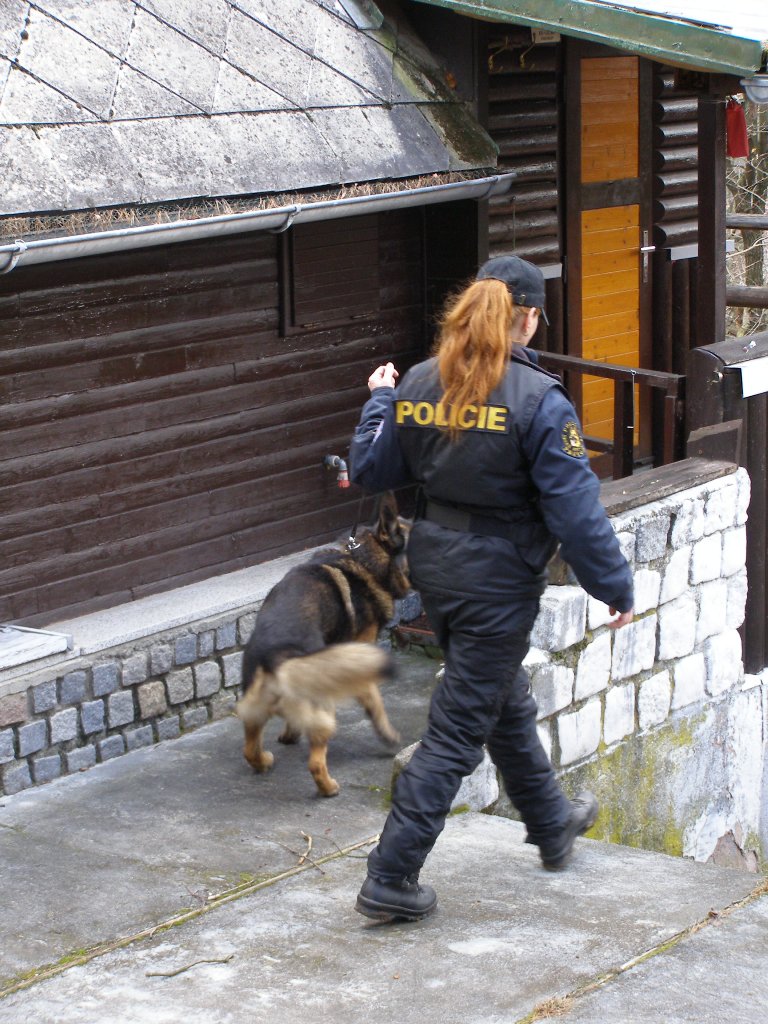 12.JPG