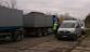 131024_řepa3