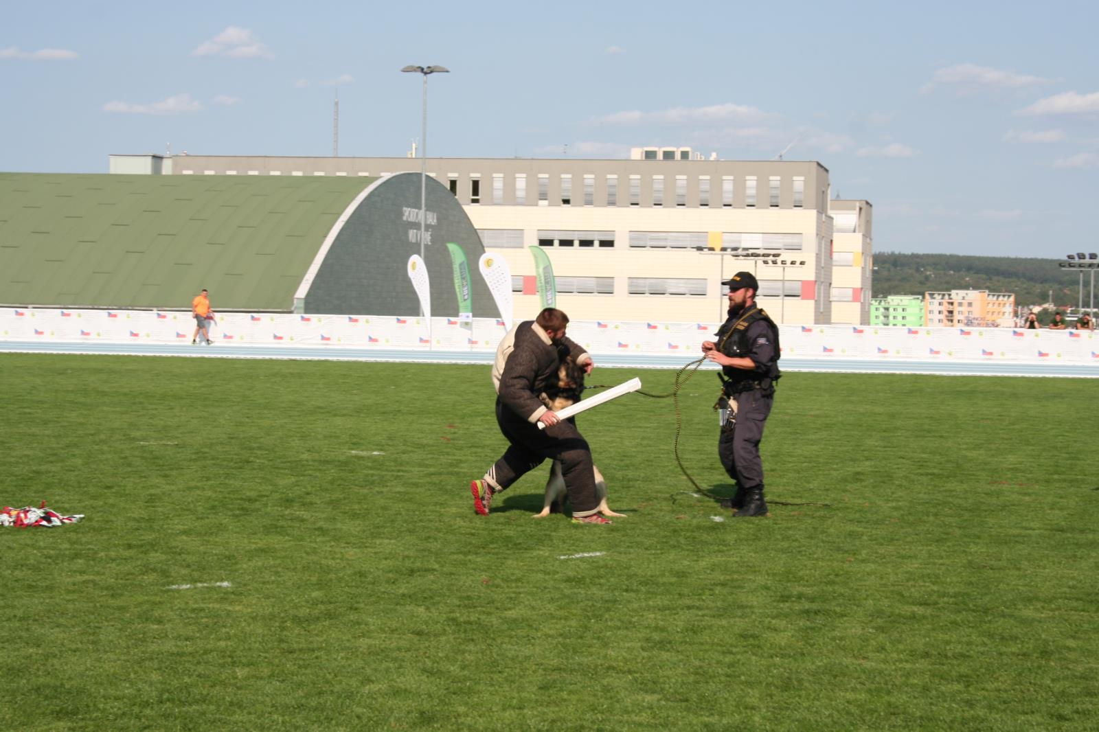 15 IMG_0807.JPG