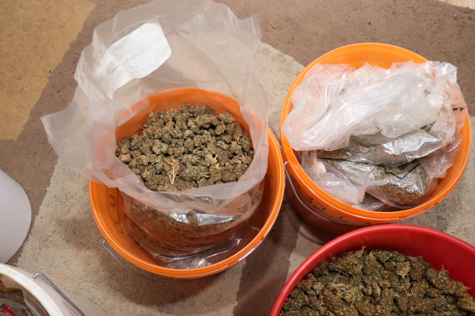 15_marihuana.JPG