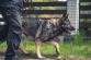 16 IMG-20230504-WA0017