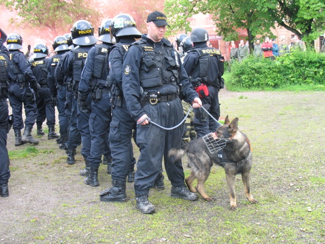 16 - MN 2010