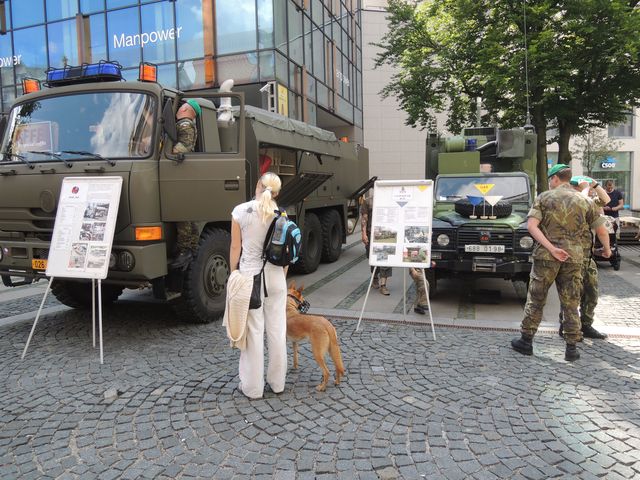 17.JPG