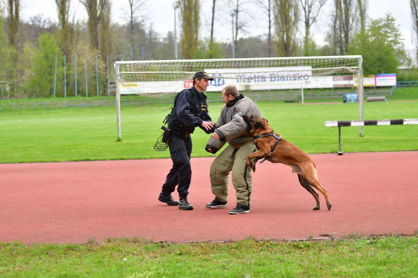 2 DSC_9290.JPG