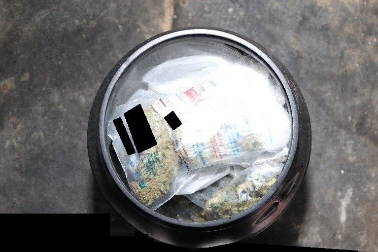2 Marihuana.jpg