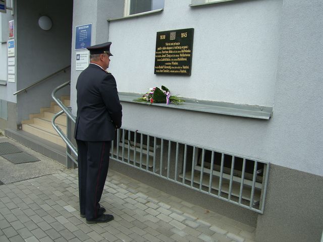 2 SH109155.JPG