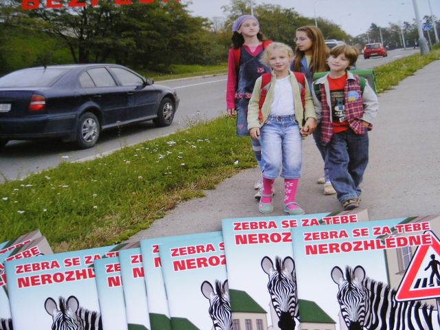 2 Zebra se za tebe nerozhlédne 2.JPG