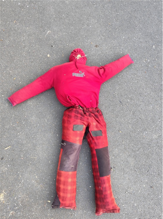 2 figurina2.jpg