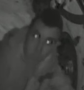 2 neznámý muž - obličej.jpg