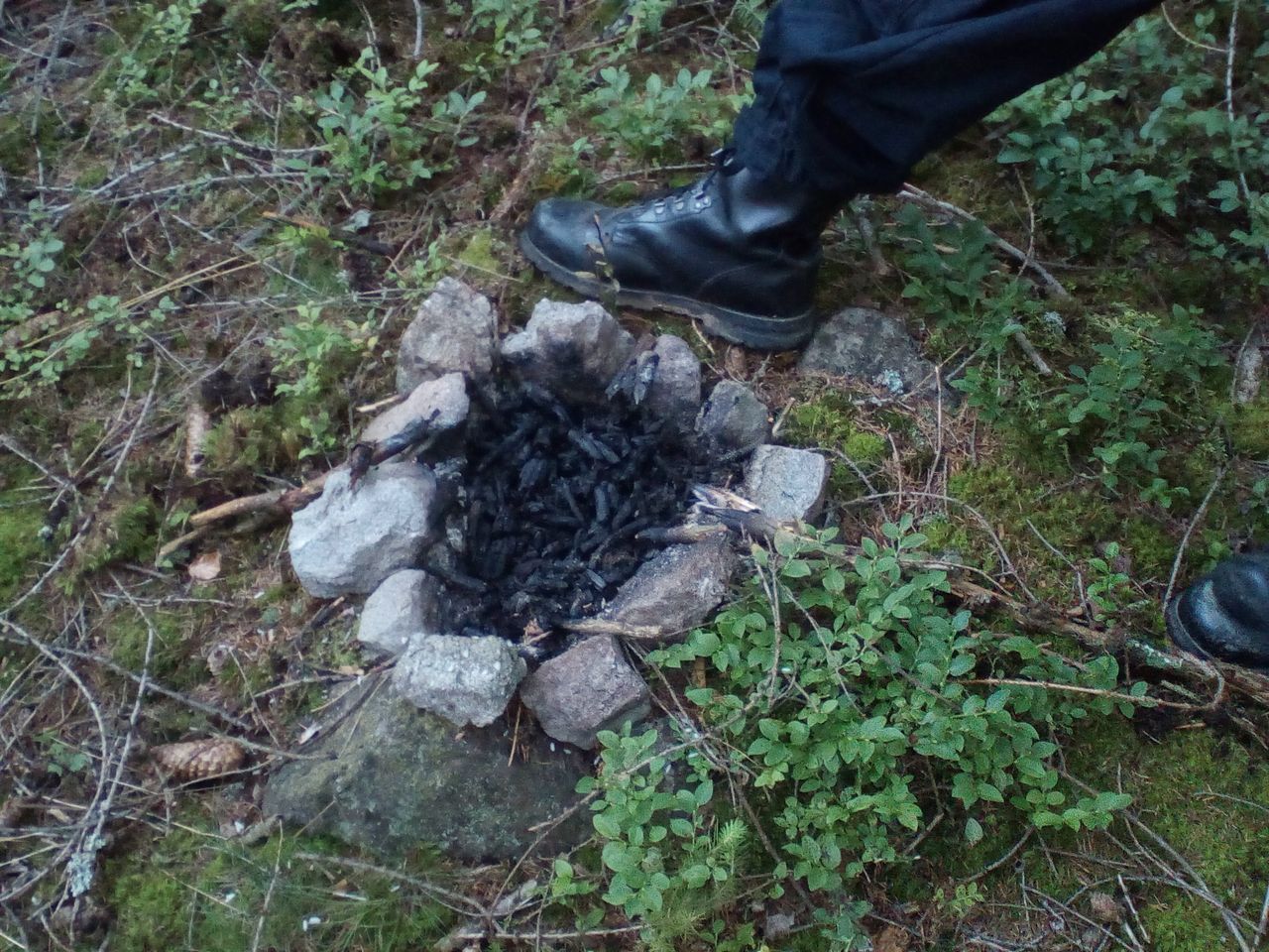 2 porušení lesního zákona - ohniště.jpg