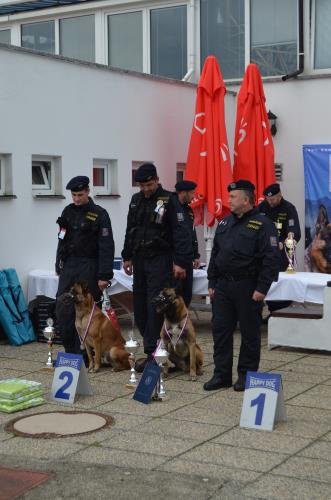 2. družstvo Libereckého kraje.jpg