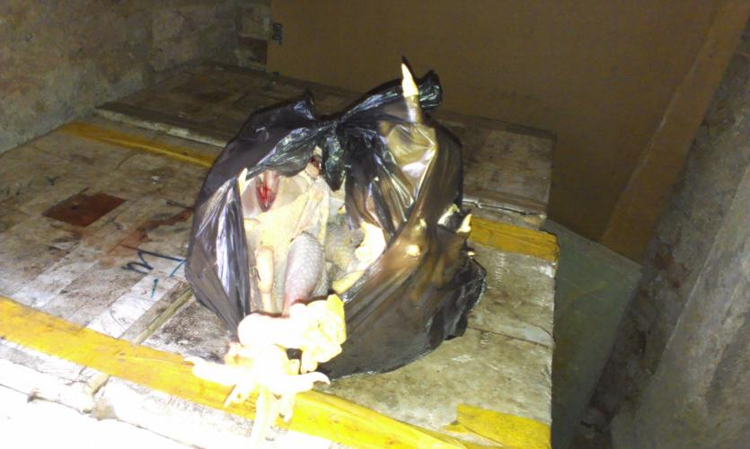 2012_2.jpg