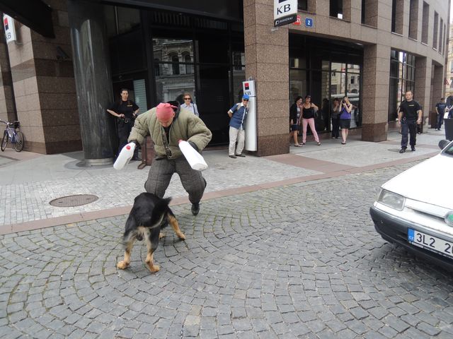 23.JPG