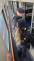 24_BlUE RAD 2025_05