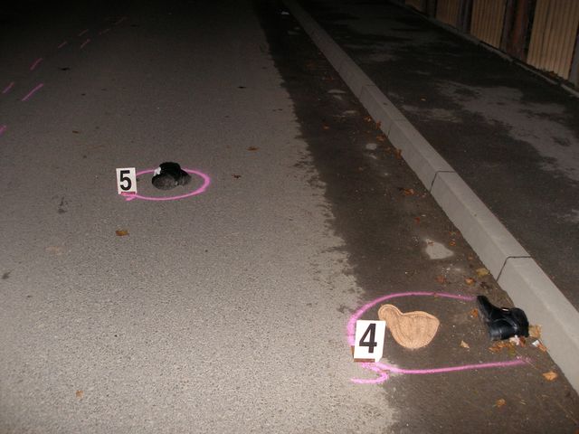 26.11.2009 - Žichlínek, střet Škoda Felicia x chodec, smrtelné zranění