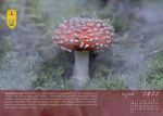 28 Říjen - kopie (2).JPG