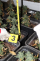 3 3