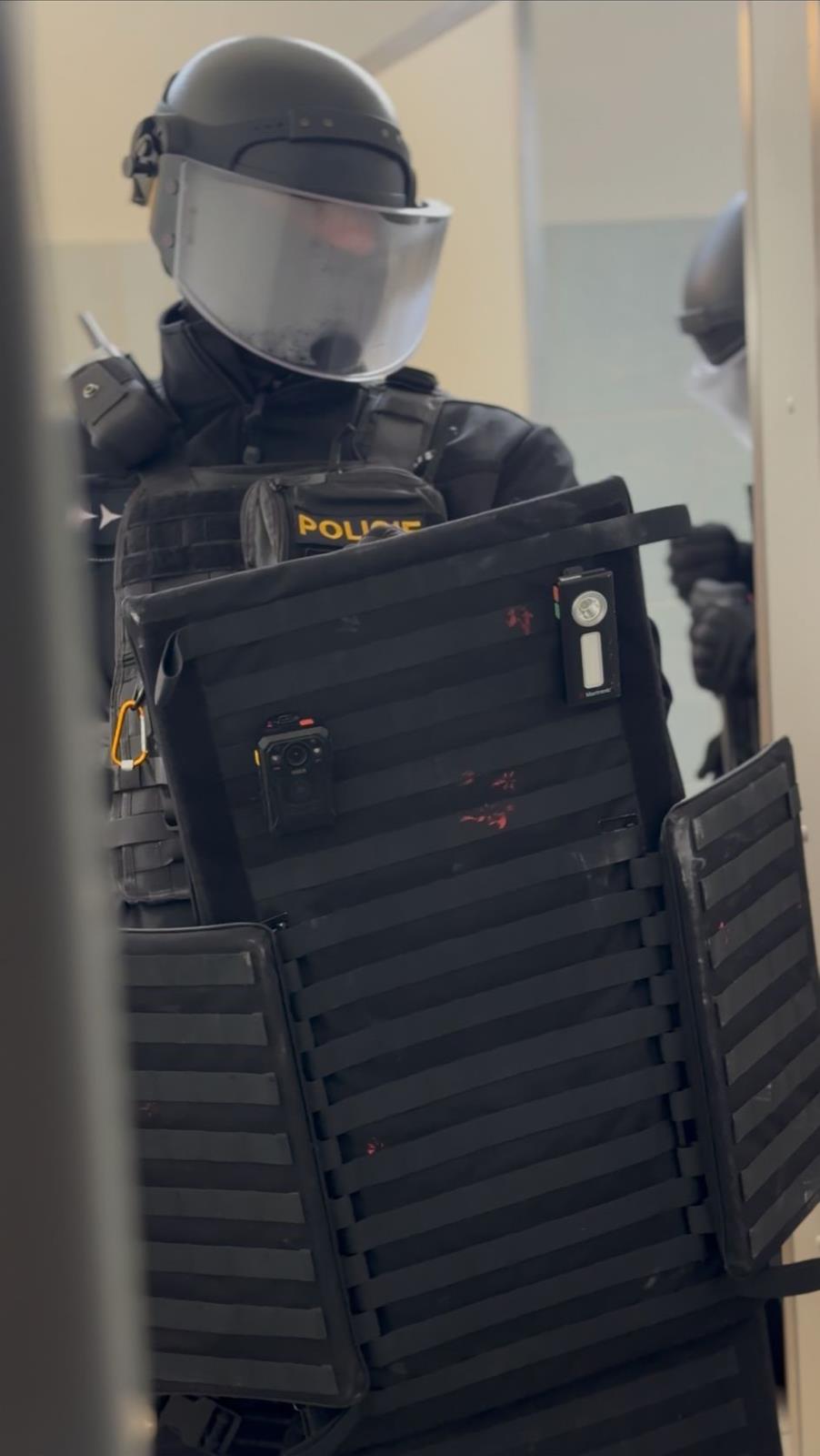 3 AMOK PDB.jpeg