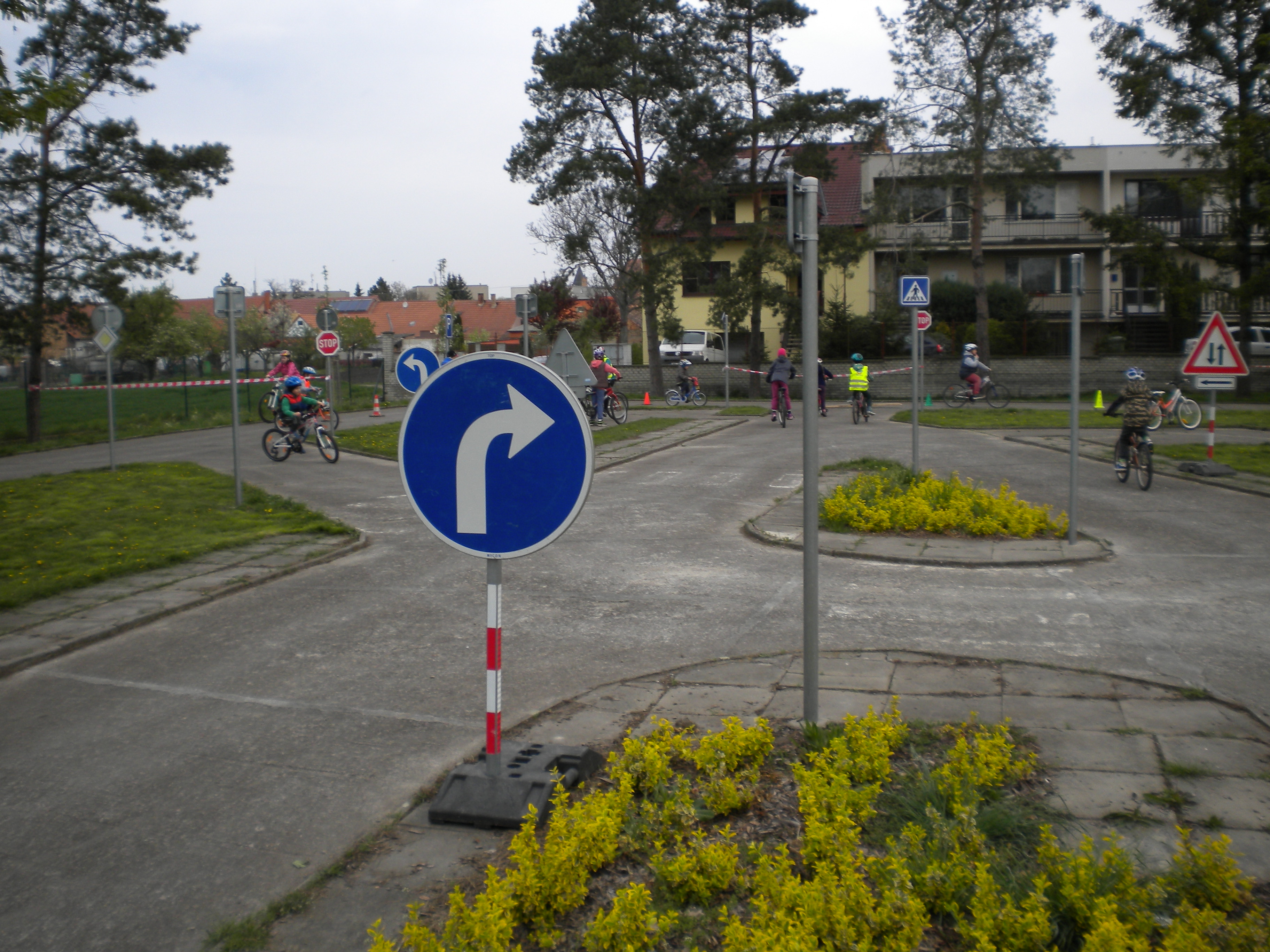 3 DSCN3203.JPG